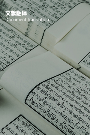 文献翻译